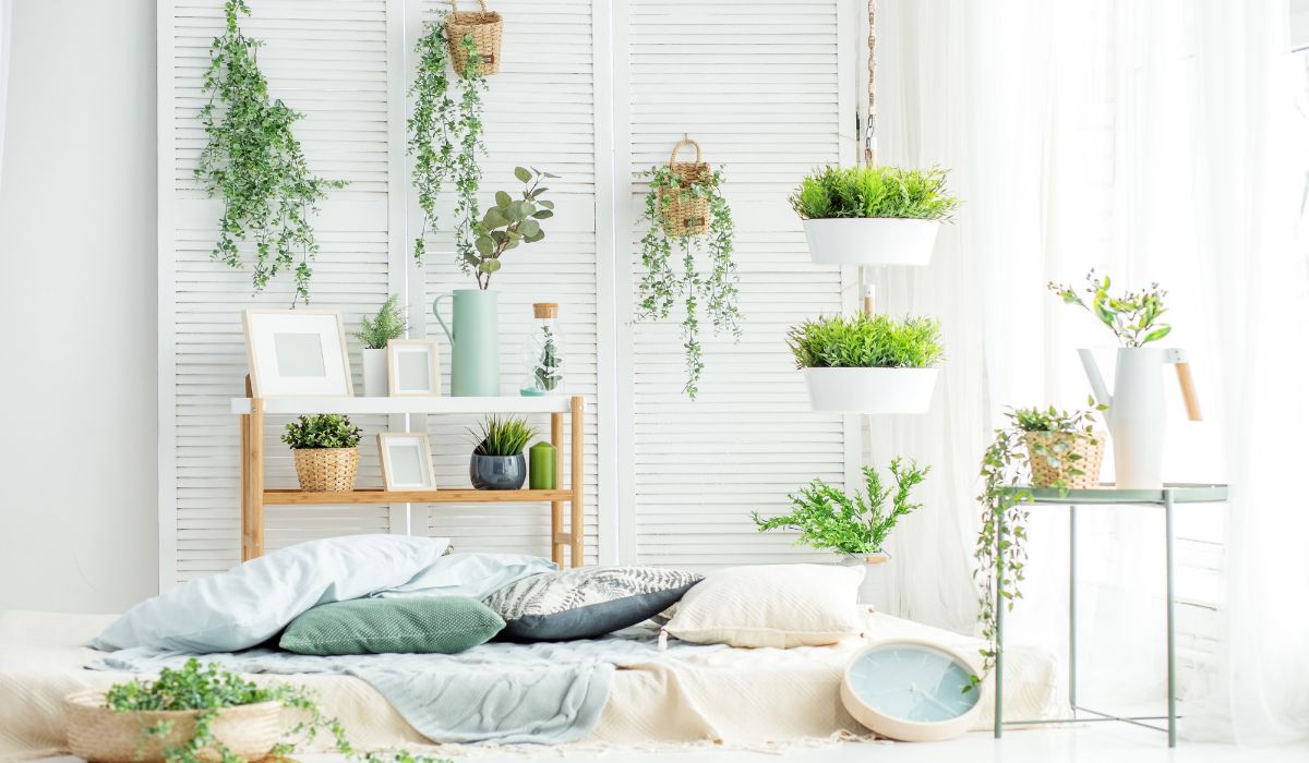 uni-room-greenery-plants