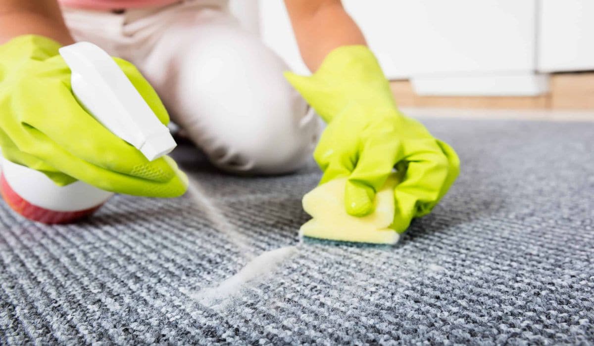 carpet-cleaning-vital-oils