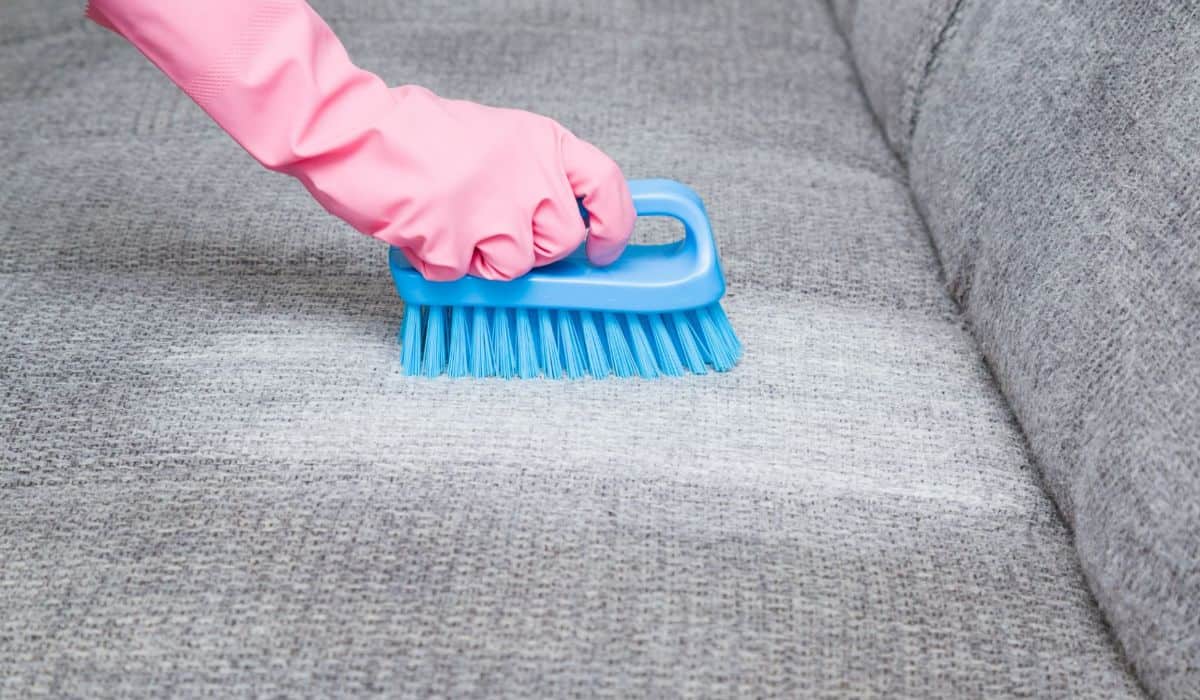 clean-milk-out-of-sofa