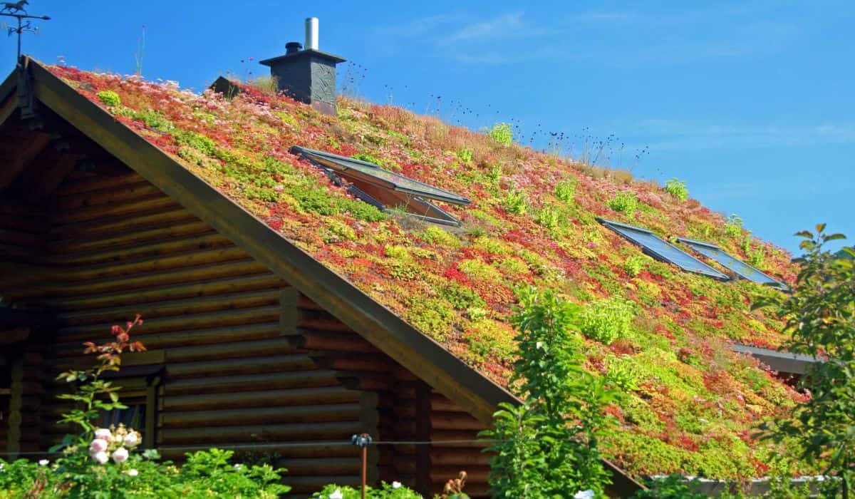 green-roofing