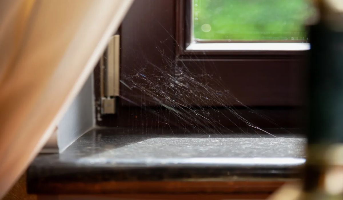 how-to-clean-cobwebs