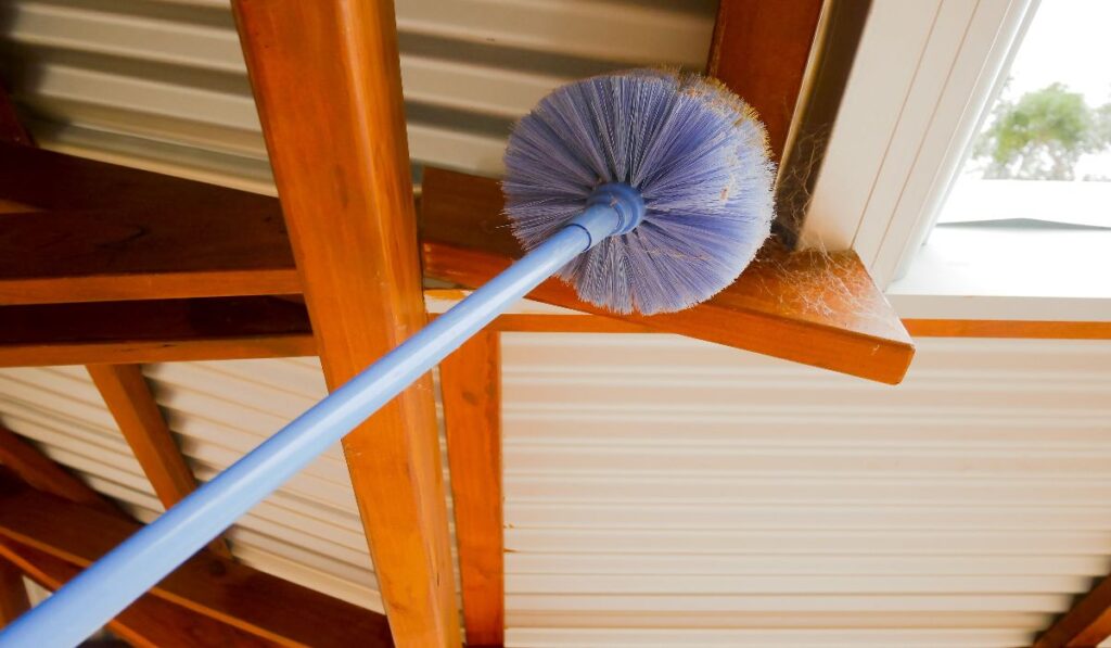 how-to-get-rid-of-cobwebs