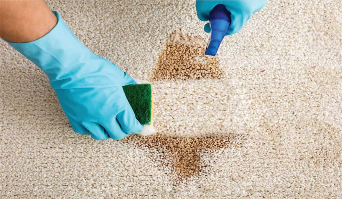 rug-cleaning-shaving-cream
