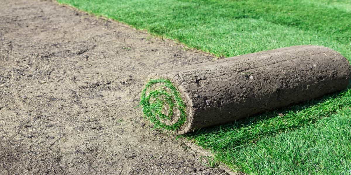 How to Install Artificial Grass on Sand