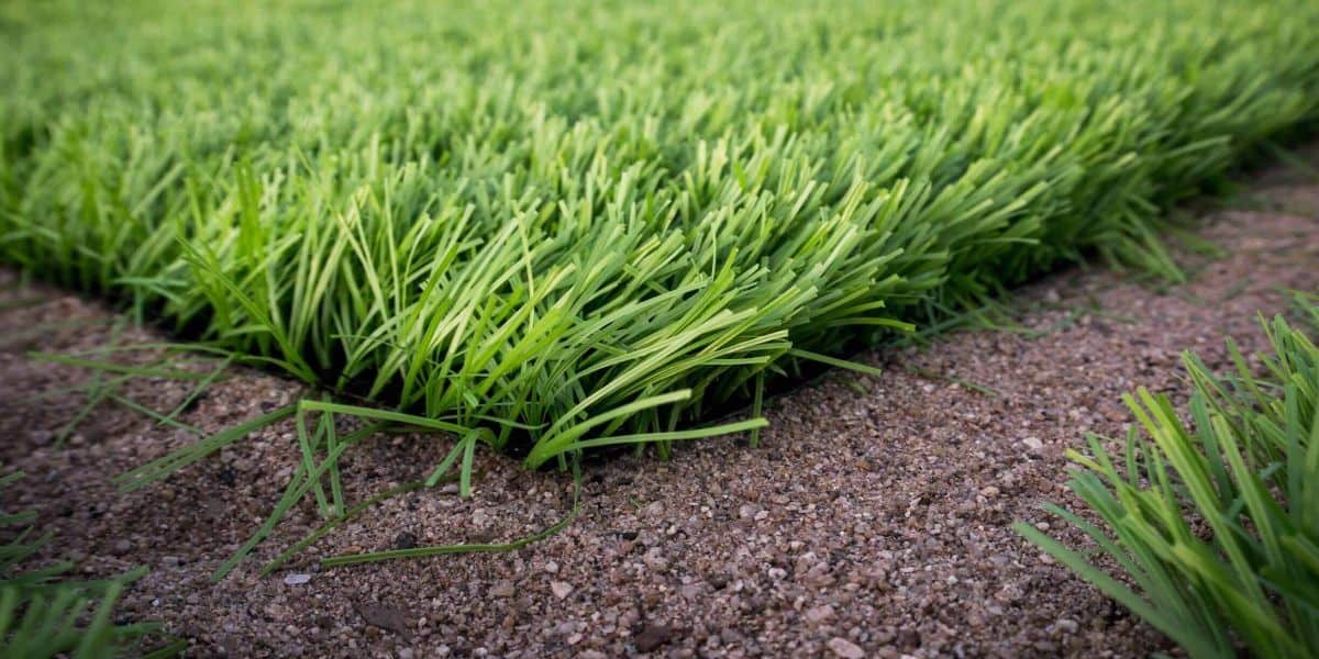 How to Install Artificial Grass on Soil