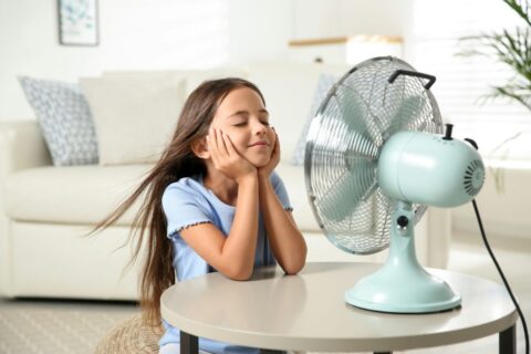 how-much-electricity-does-a-fan-use
